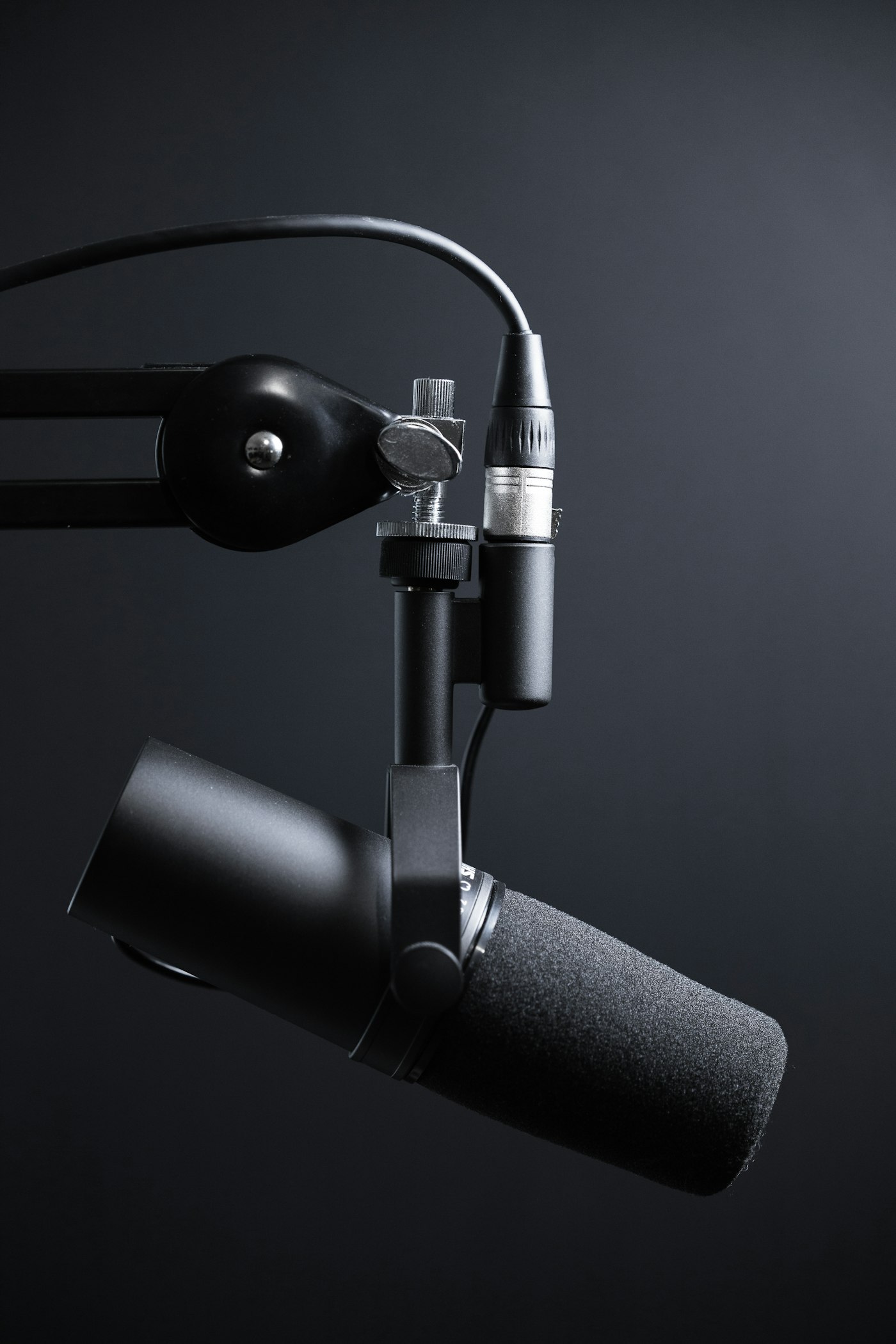 Studio condenser microphone